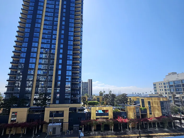 View from Patio