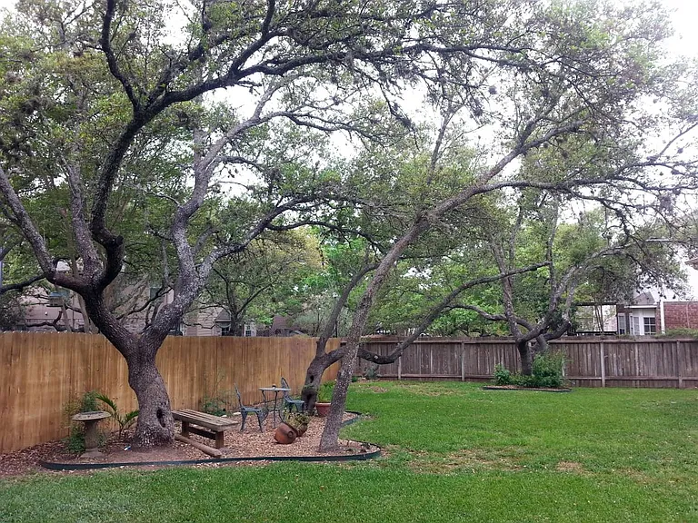 Mature Trees, Professionally Landscaped