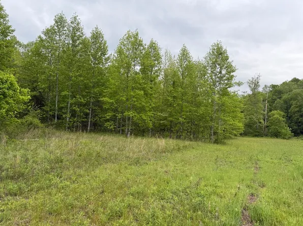 0 Christopher Ln, Lambsburg, VA 24351