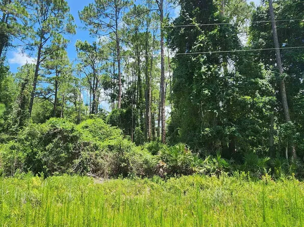 112 Northeast Ter, Georgetown, FL 32139