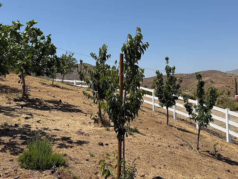 Escondido Canyon Rd — Photo 25