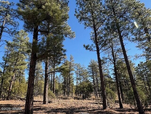 1st image of 3071 W Black Oak Loop