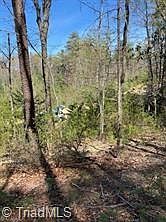 3rd image of LOT 189 Blazing Ridge Trl