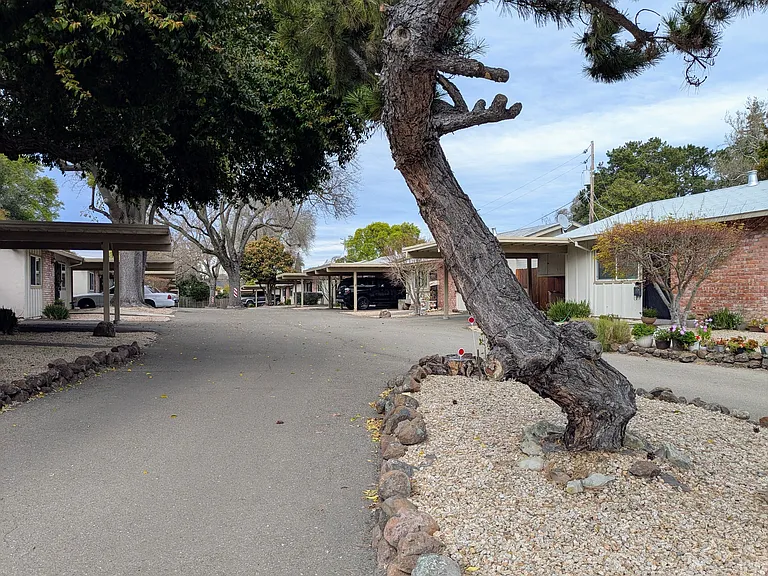 7327 Starward Dr — Photo 16