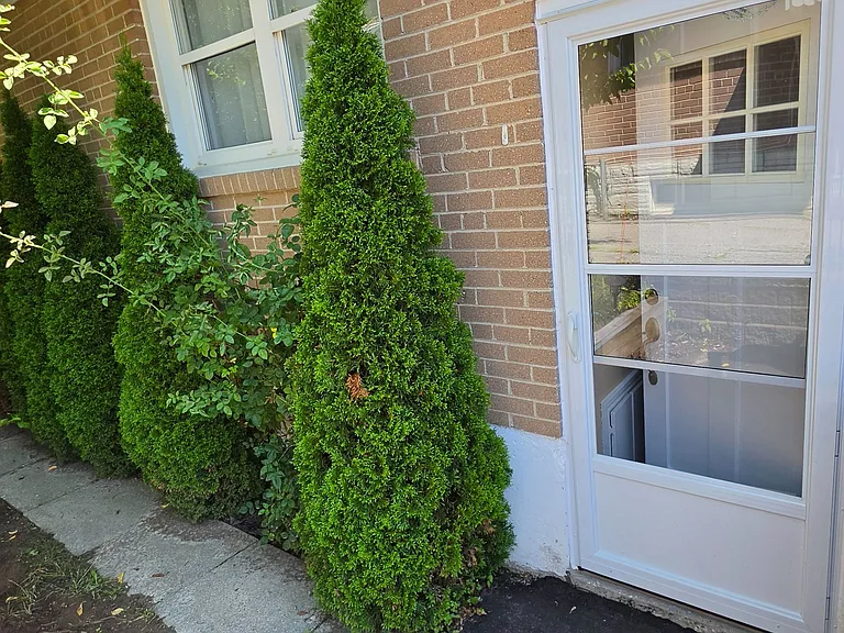 187 Septonne Ave #LOWER LEVEL — Photo 3