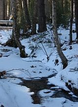 Enjoy the brook all 4 seasons