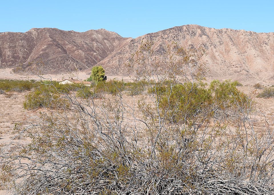 1st image of 8253 S Ocotillo Dr