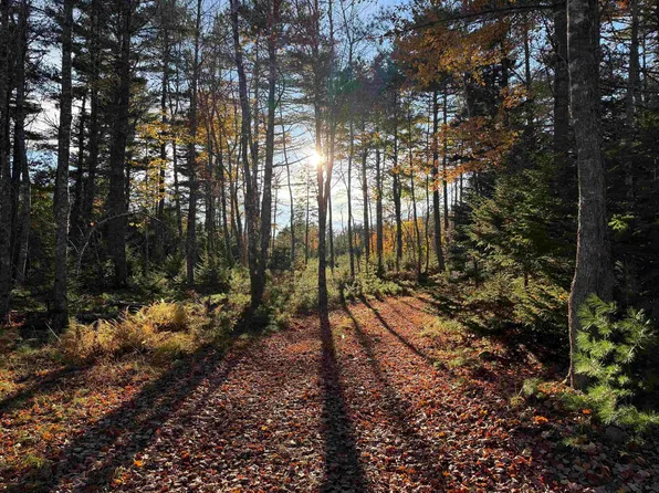 Sleepy Hollow Rd Lot 3, Martins River, NS B0J 2E0