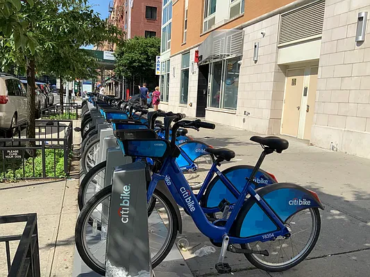 Rented by Nest Seekers International | media 65