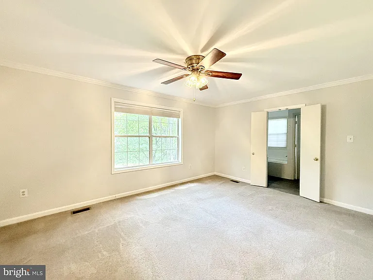 70 Dorothy Ln — Photo 19