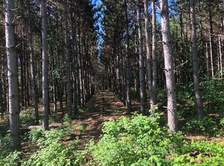 9297 4th Ave, Almond, WI 54909