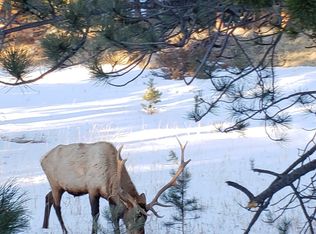 19 Appleby Dr, Lyons, CO 80540