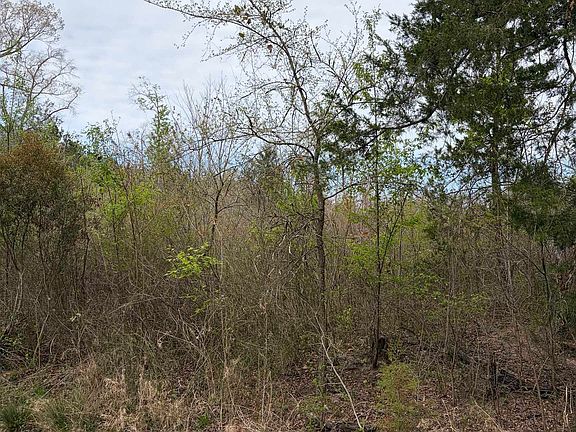 5th image of County Road 3309