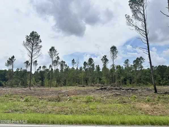 1355 Bill Hooks Road, Whiteville, NC 28472