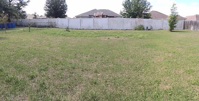 Back yard