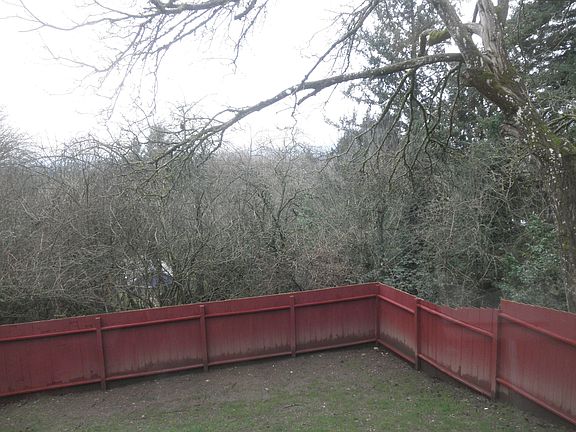 View from the back of the house