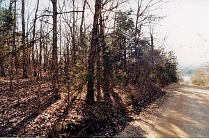 1st image of Lake Haven Ln