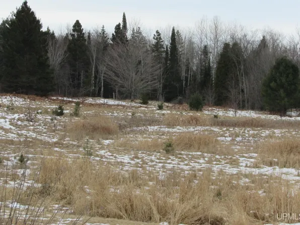 Golden Rd, Lanse, MI 49946