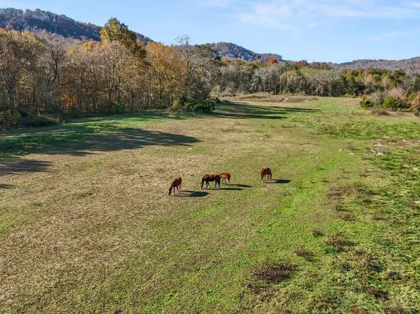 0 Rhodes Rd, New Market, TN 37820