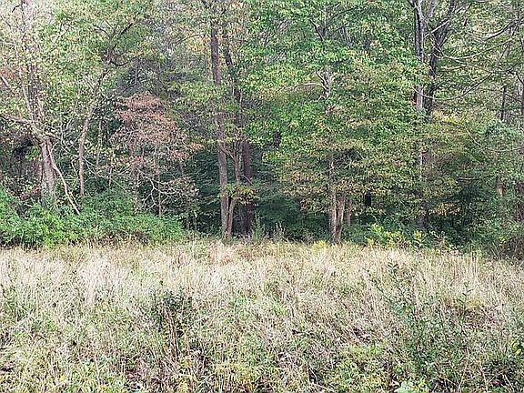 5th image of 28220 Logan Hornsmill Rd