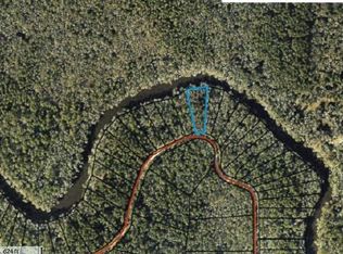 401 NE Madison Bluffs Way, Lee, FL 32059