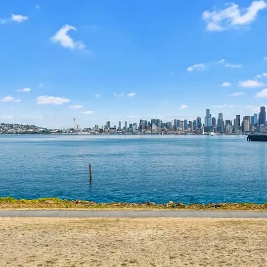 17 Harbor Ave SW #400 — Photo 19