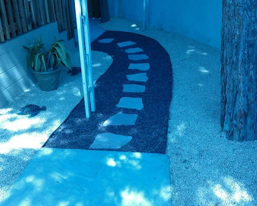 Yard
