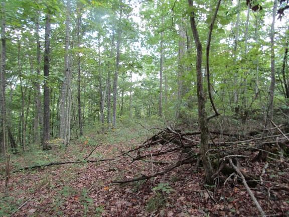4th image of 5017AC Backwoods Trl