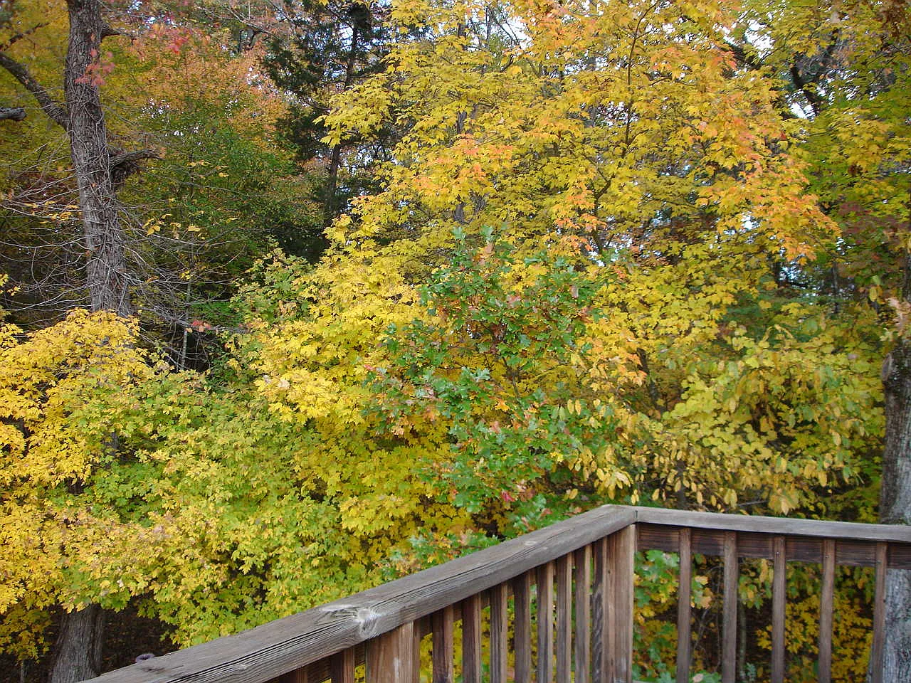 Genesis Rd, Chapel Hill — Photo 4