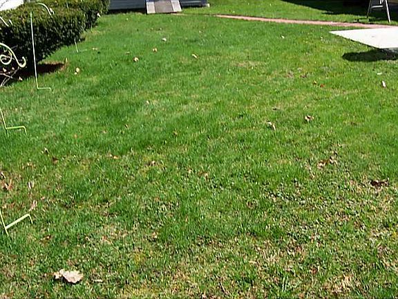 4th image of 25 Woodridge Dr
