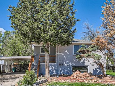 1265 Ammons Street, Lakewood, CO, 80214