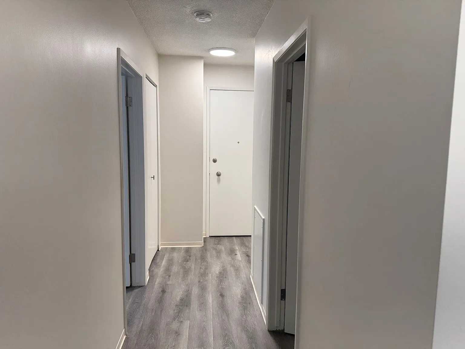 Bright 1 Bed + 1 Bath Apartment in the Heart of Mission! — Photo 3