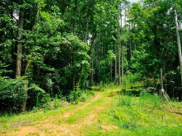11 Quail Cove Cir, Warne, NC 28909