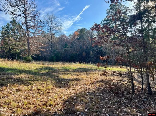 122 Tall Pine Ln, Yellville, AR 72687