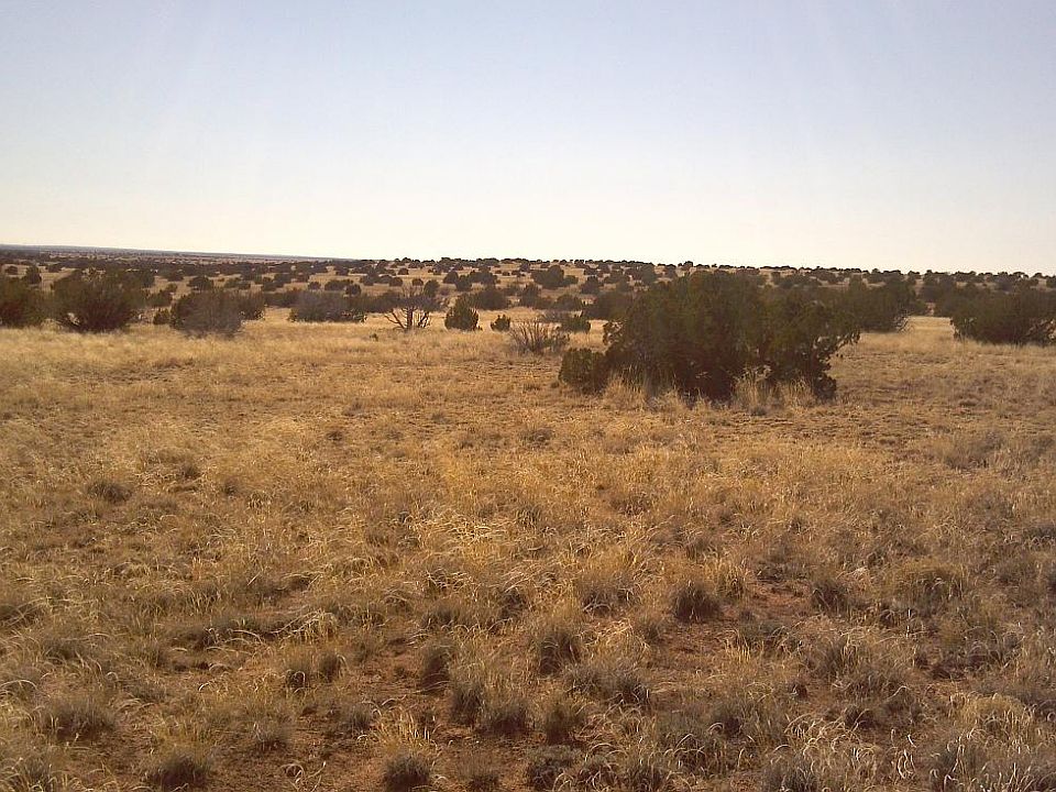 2nd image of Sec.9 Antelope Valley -- #002