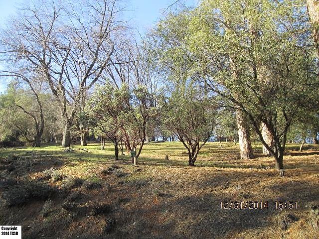 1st image of Cottonwood