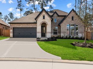 231 Sunrise Canvas Dr, Willis, TX 77318