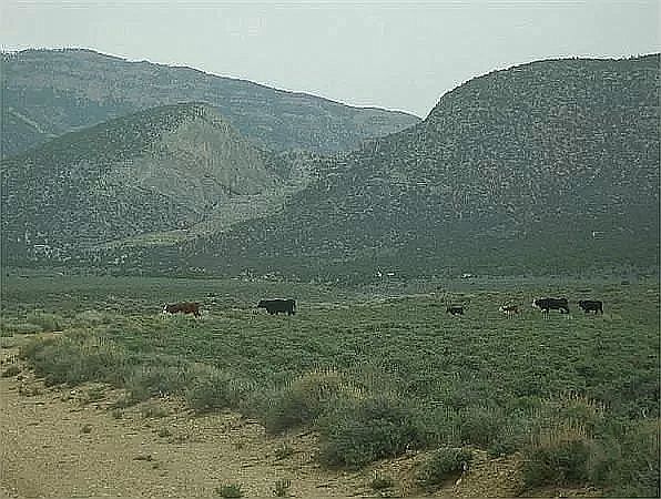 2nd image of 1111 Gibson Ranch Rd
