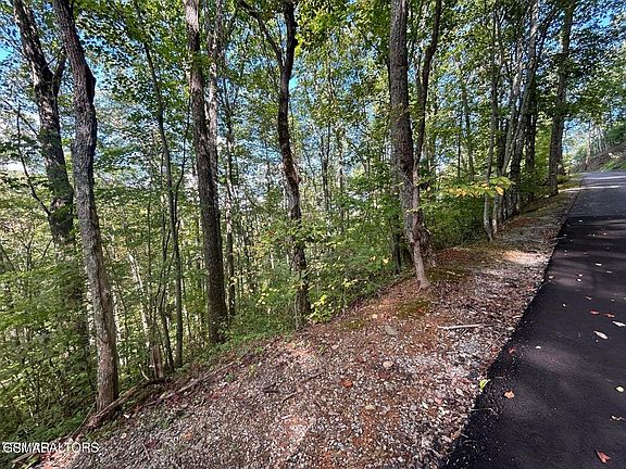 3rd image of 9 Wildcat Ridge Rd Lot 9