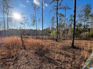 50864 Highway 22 Tract #1, Wadley, AL 36276