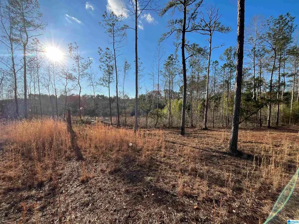 50864 Highway 22 Tract #1, Wadley, AL 36276