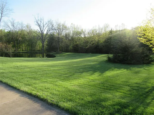 17803 Lasswell Dr, Canton, MO 63435
