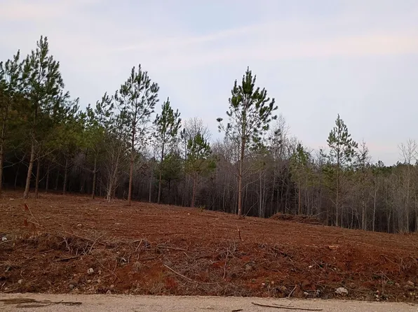 TRACT 2 County Road 176, Piedmont, AL 36272