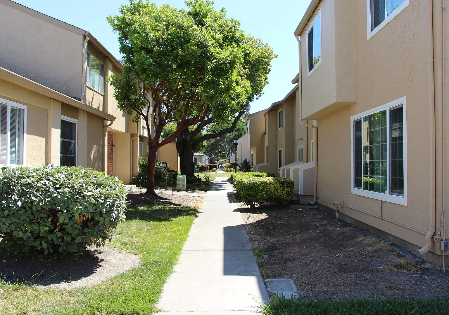 4220 Comet Circle 3 Bedroom 1.5 Bathroom — Photo 4