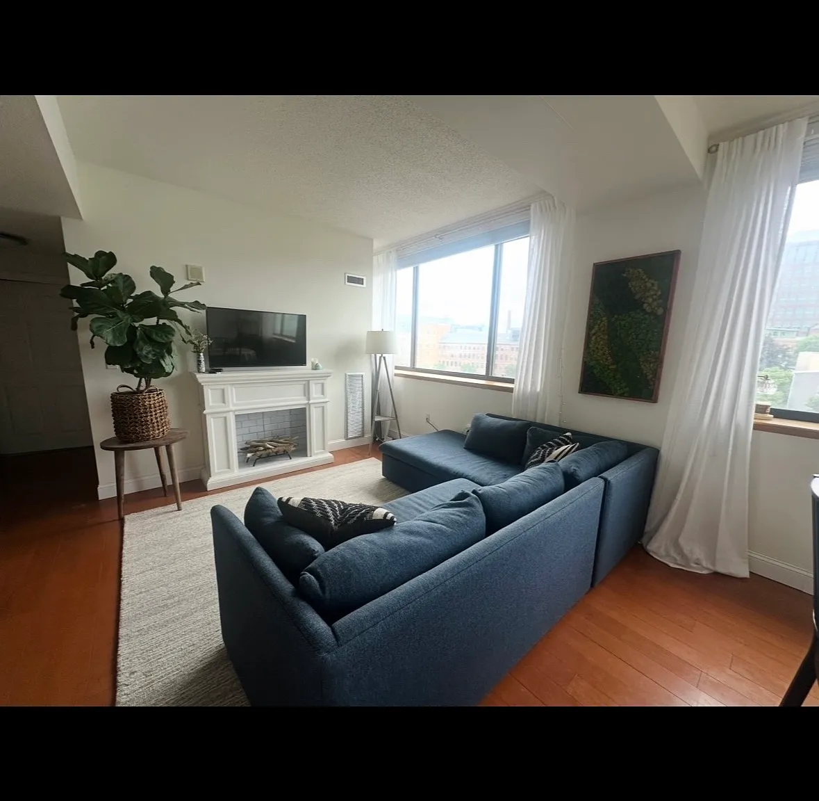 2 bed, 950 sqft, $2,150 — Photo 3