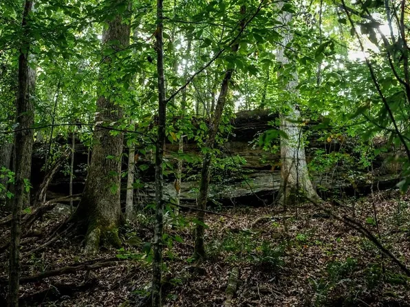0 Colburn Mountain Rd, Tuscumbia, AL 35674