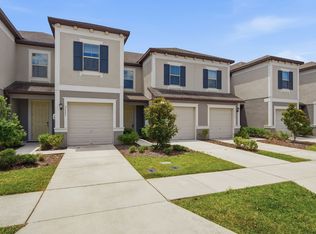 31535 Blue Passing Loop, Wesley Chapel, FL 33545