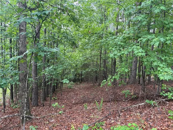0 Lee Road 257, Salem, AL 36874