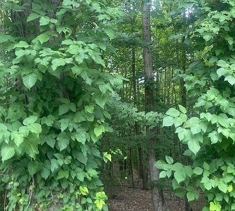 5th image of 0 Butner Rd