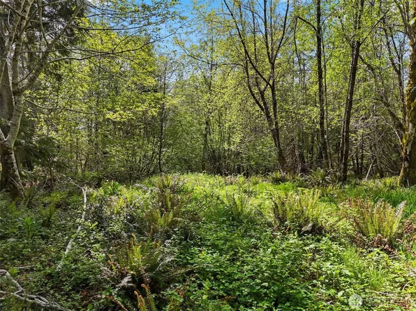 1420 South Bend Rd, Raymond, WA 98577